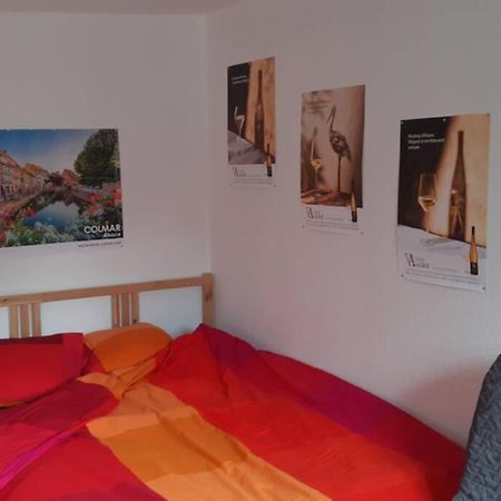 Gite De Benedicte Ancienne Douane Colmar Bagian luar foto
