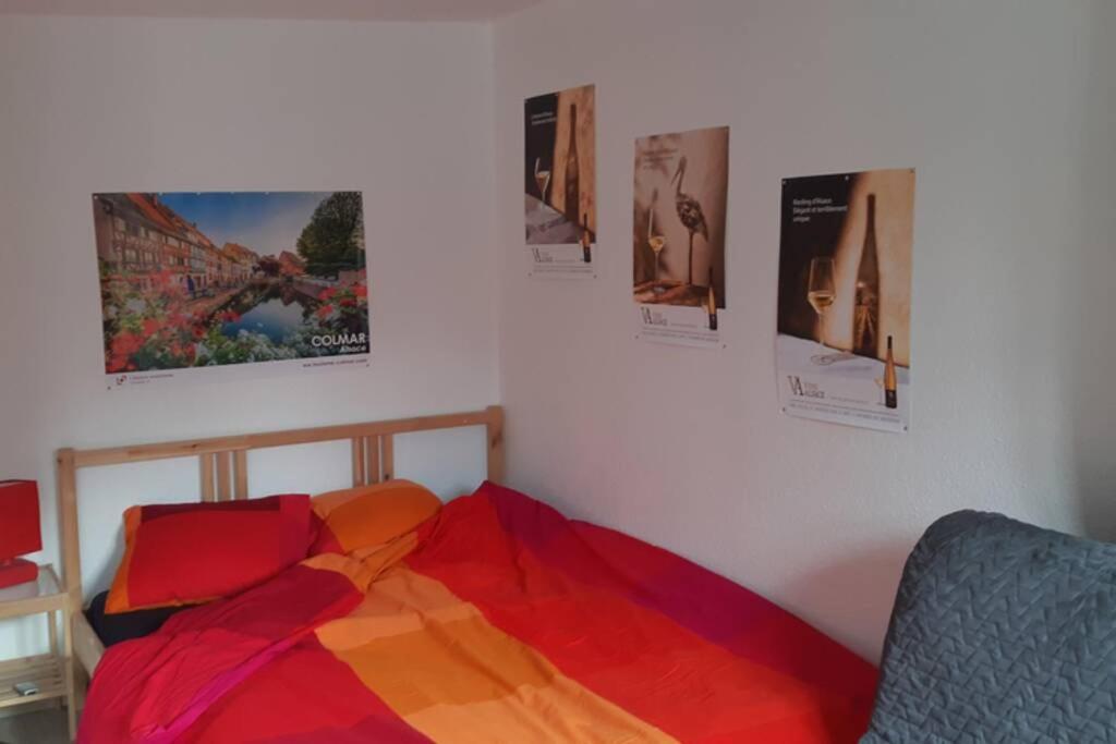 Gite De Benedicte Ancienne Douane Colmar Bagian luar foto