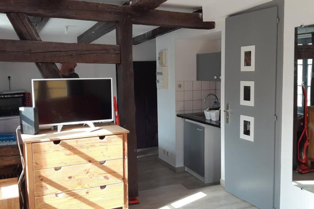 Gite De Benedicte Ancienne Douane Colmar Bagian luar foto