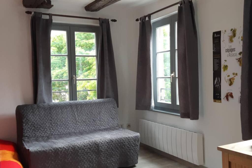 Gite De Benedicte Ancienne Douane Colmar Bagian luar foto